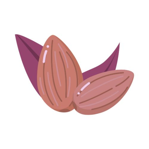 Nutty Treasures